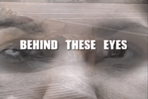 Behind These Eyes